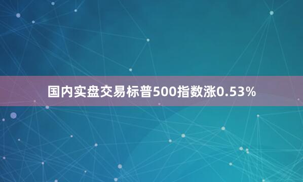 国内实盘交易标普500指数涨0.53%